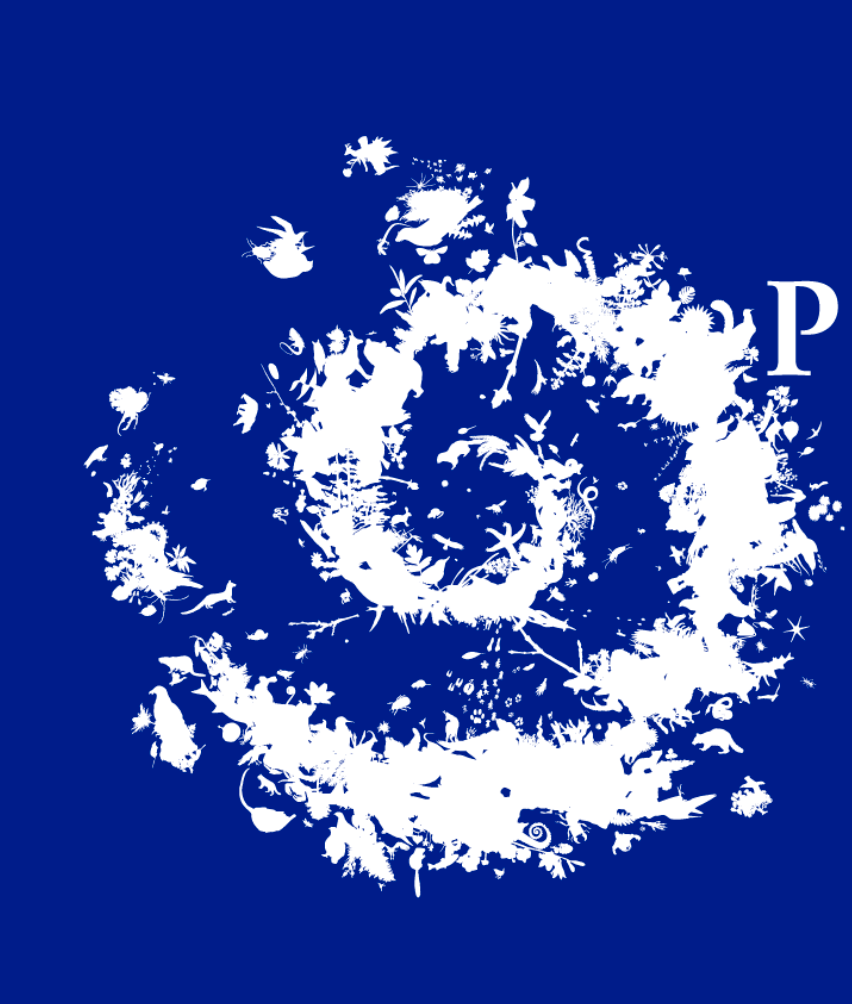 PastedGraphic-8 15-05-2019 18-35-52.png