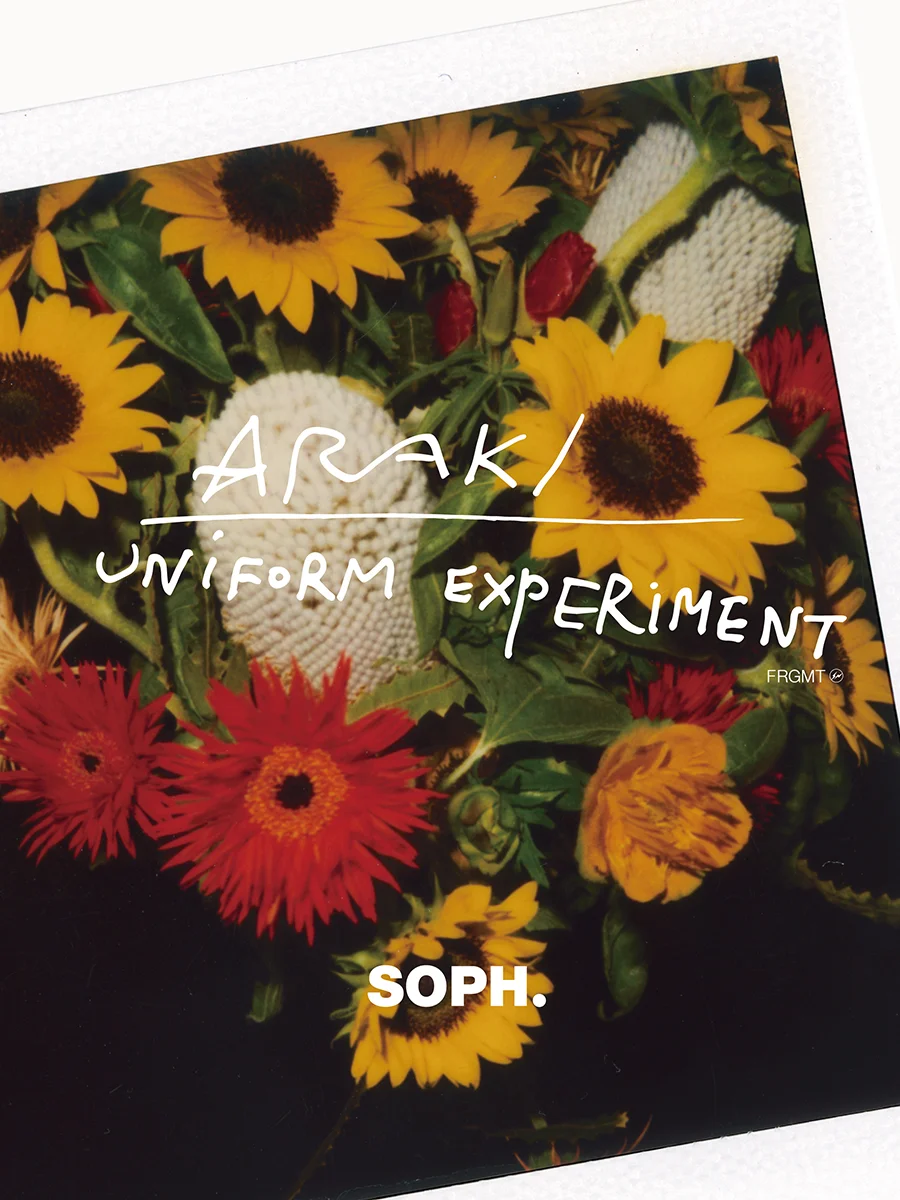 ARAKI_UE_B900.jpg