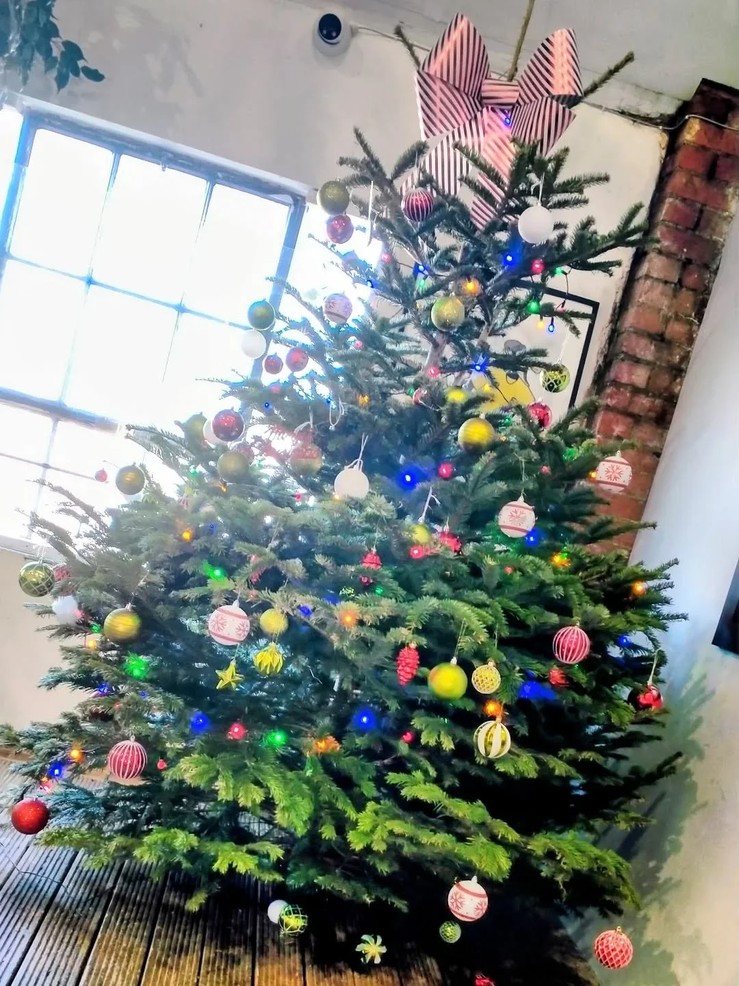 🎄"FREE GIVEAWAY" 🎄

At LS-TEN we have a very large beautiful real Christmas tree that we would like to give away for "FREE" to any families or charity events who are in need of one..!! 

Please message us if you are in need or i