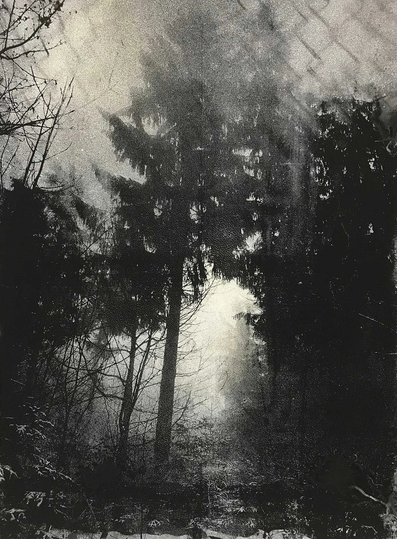 "schwarzwald 03" handpulled screenprint, stencil and spray on wood 80x60cm