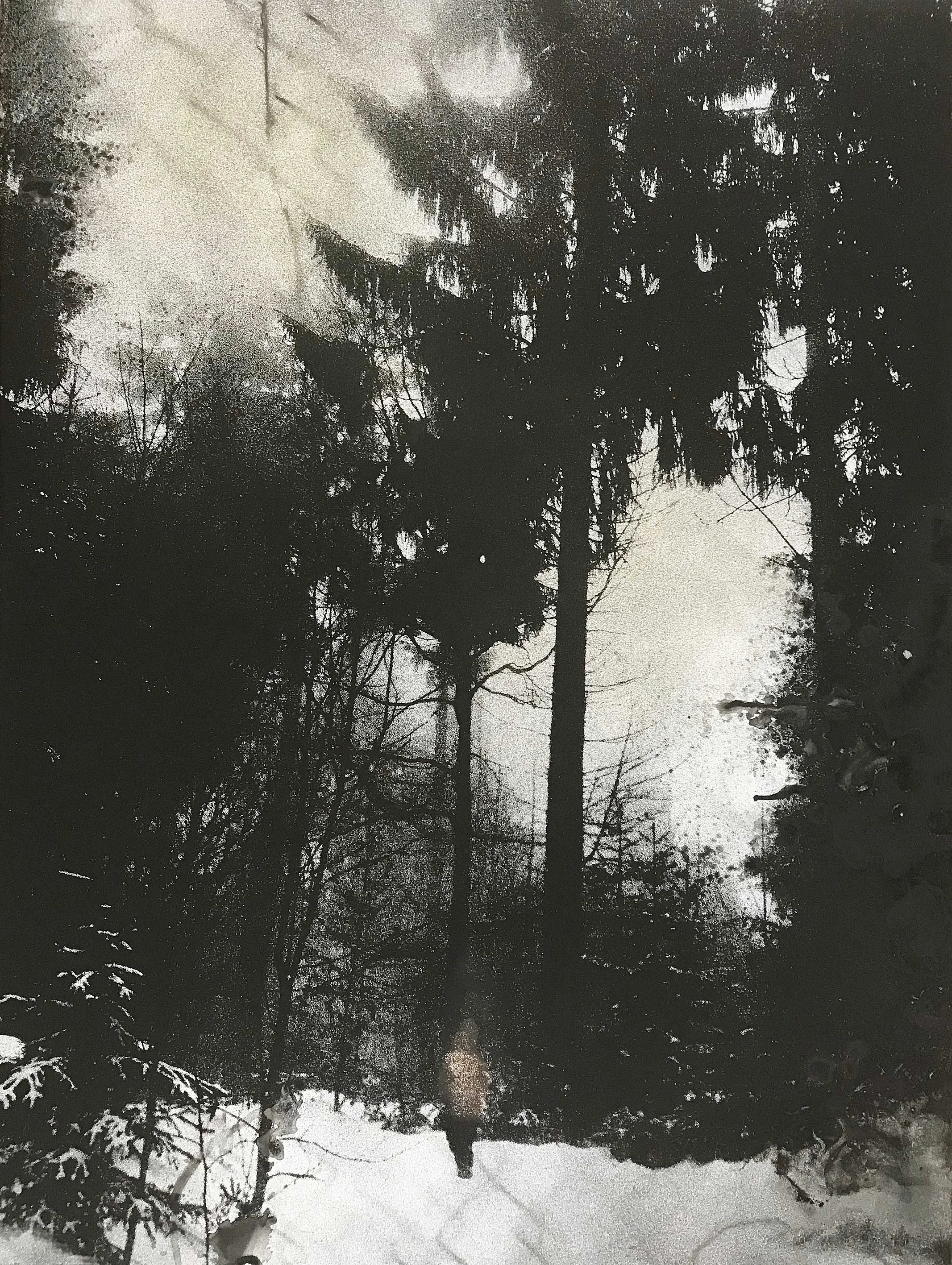 "schwarzwald 04" handpulled screenprint, stencil and spray on wood 80x60cm