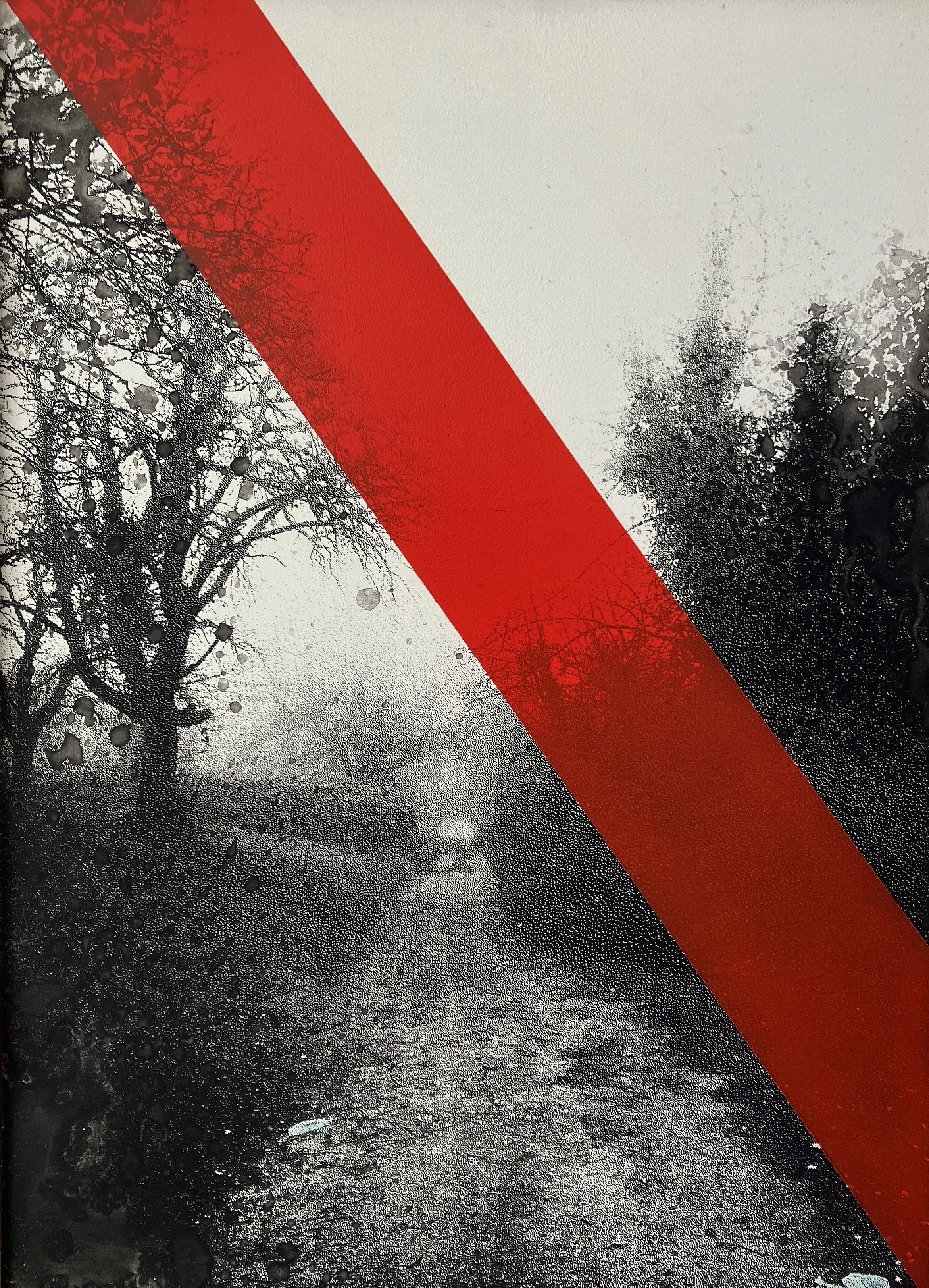 "Tüllinger III > revised 2025“ from the „black forest series“ during covid-19 in 2021 > screenprint and spray on wood > 40x30cm