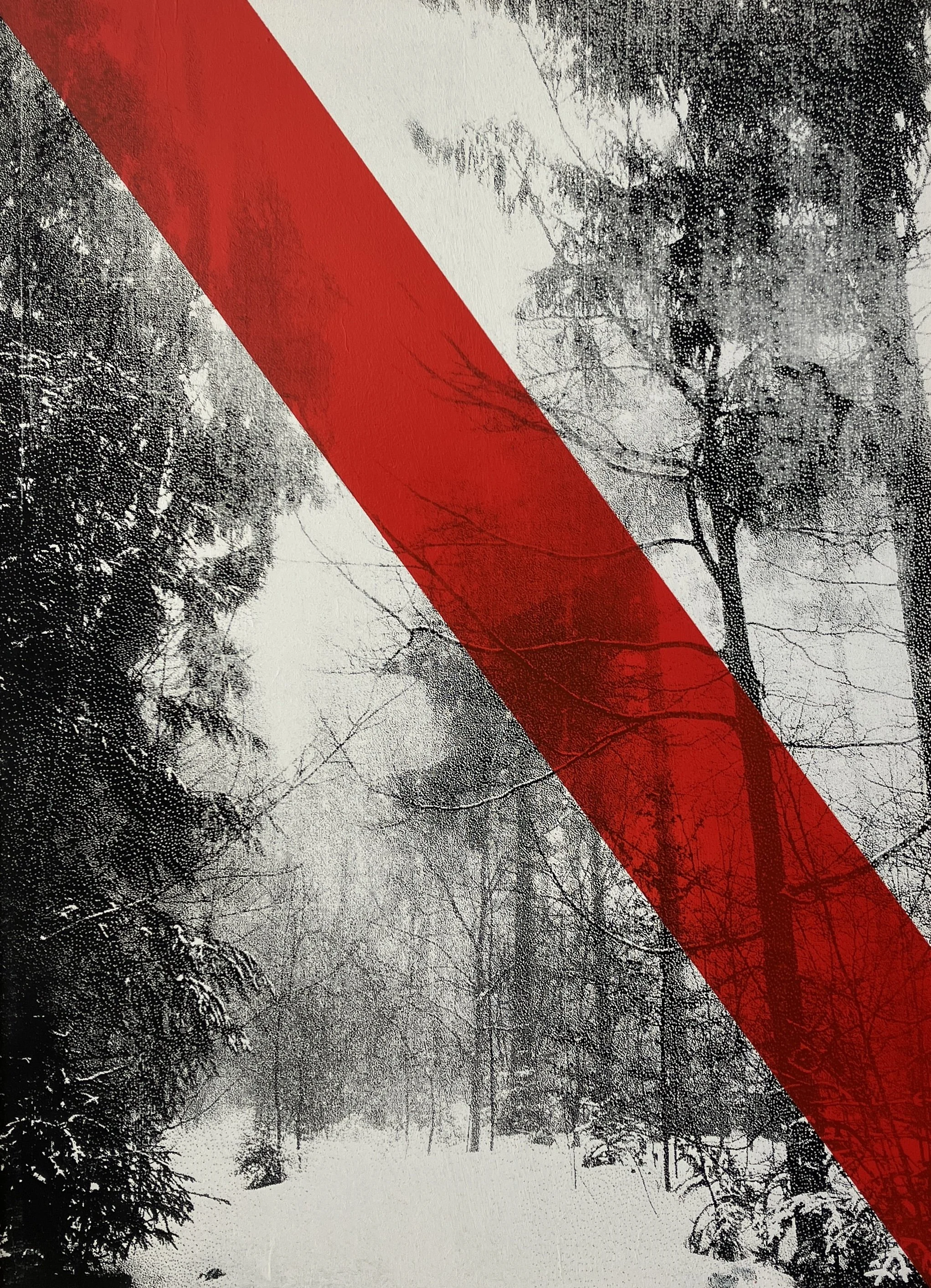 "Lipple I > revised 2025“ from the „black forest series“ during covid-19 in 2021 > screenprint and spray on wood > 40x30cm