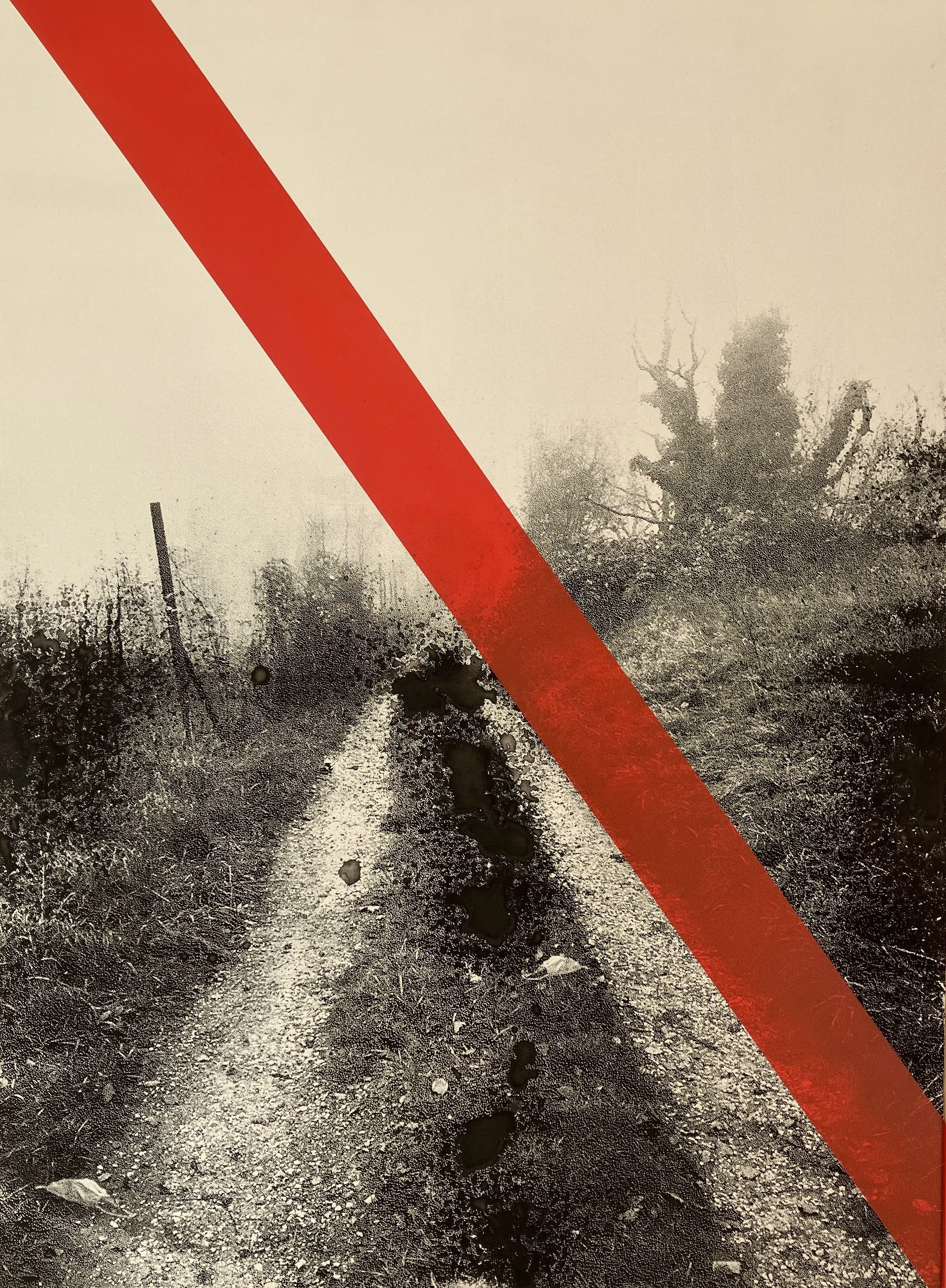 "Tüllinger I > revised 2025“ from the „black forest series“ during covid-19 in 2021 > screenprint and spray on wood > 40x30cm