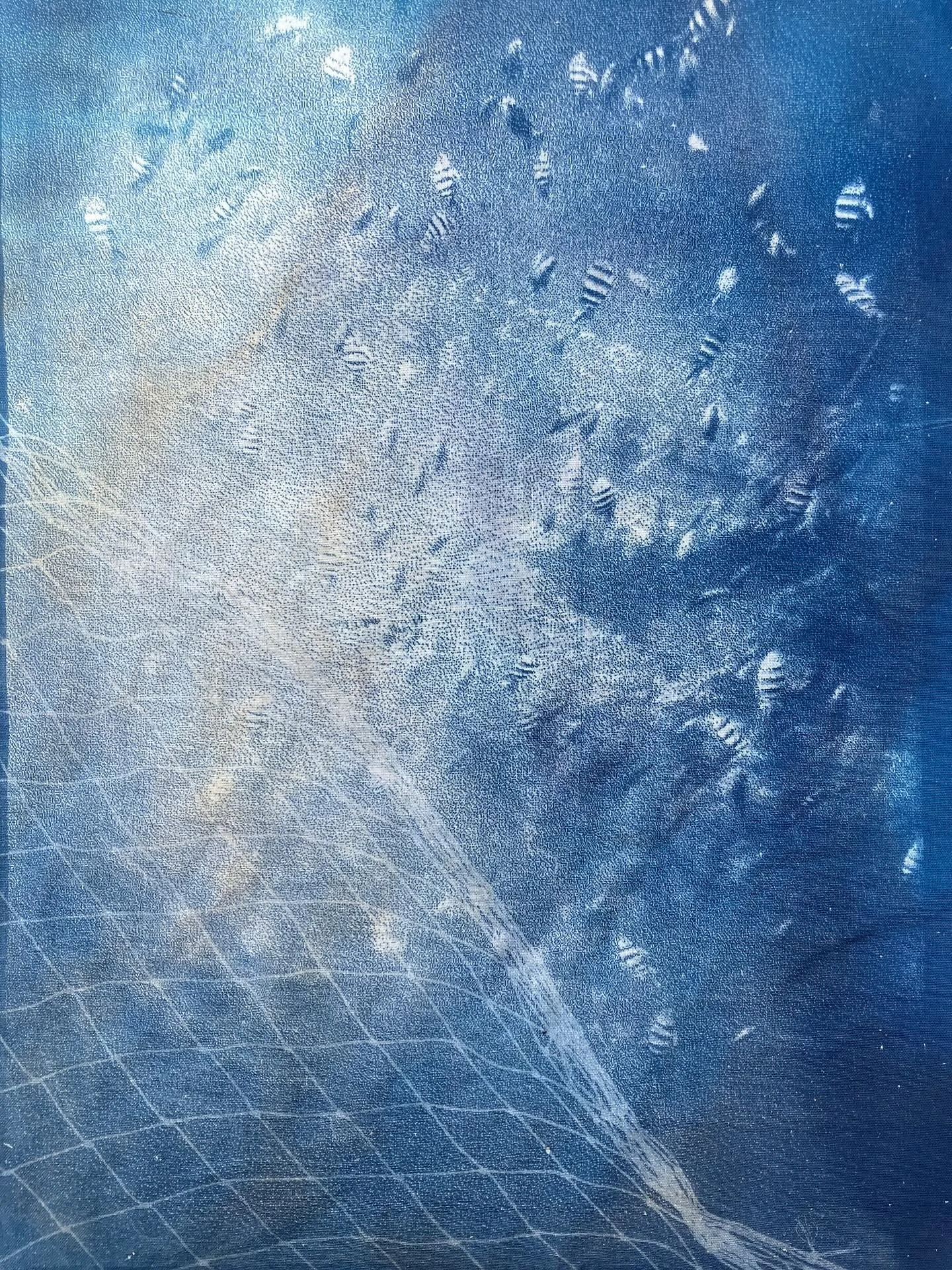 "Amed II“ aus der Serie „Cyanotopie - Das Meer als Archiv“ | Cyanotypie auf Papier 40x30cm | 2025 