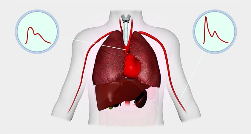 Central-Blood-image-banner.jpg