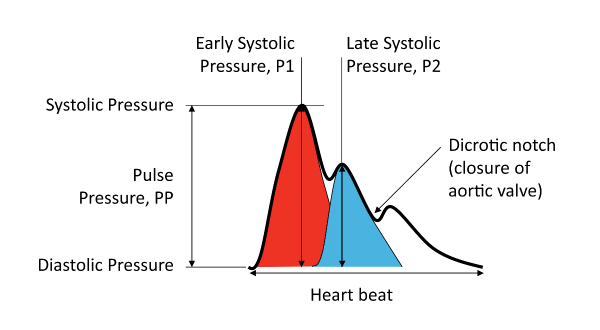 bpplus-ai-radial.png
