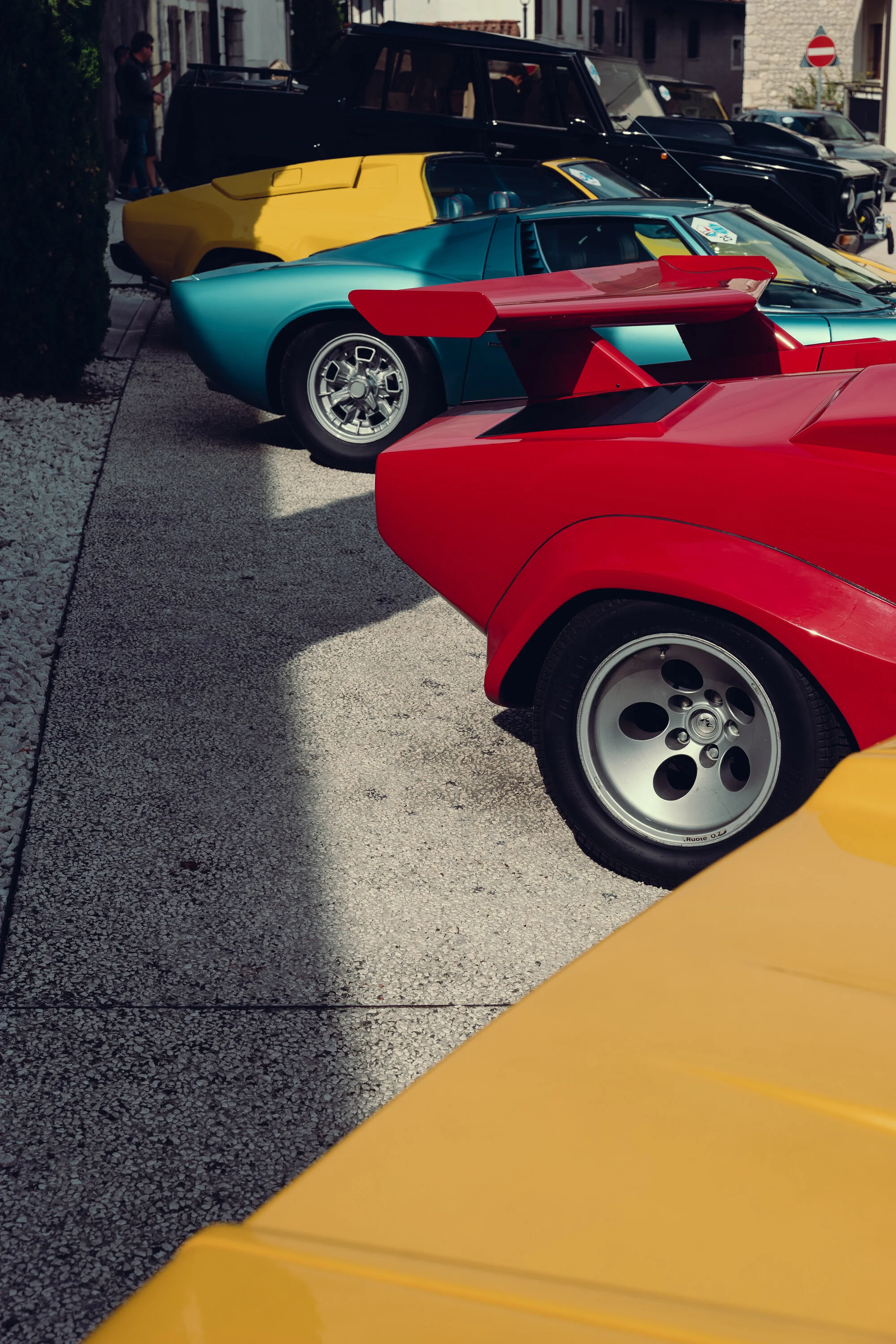 Bulls at rest.
