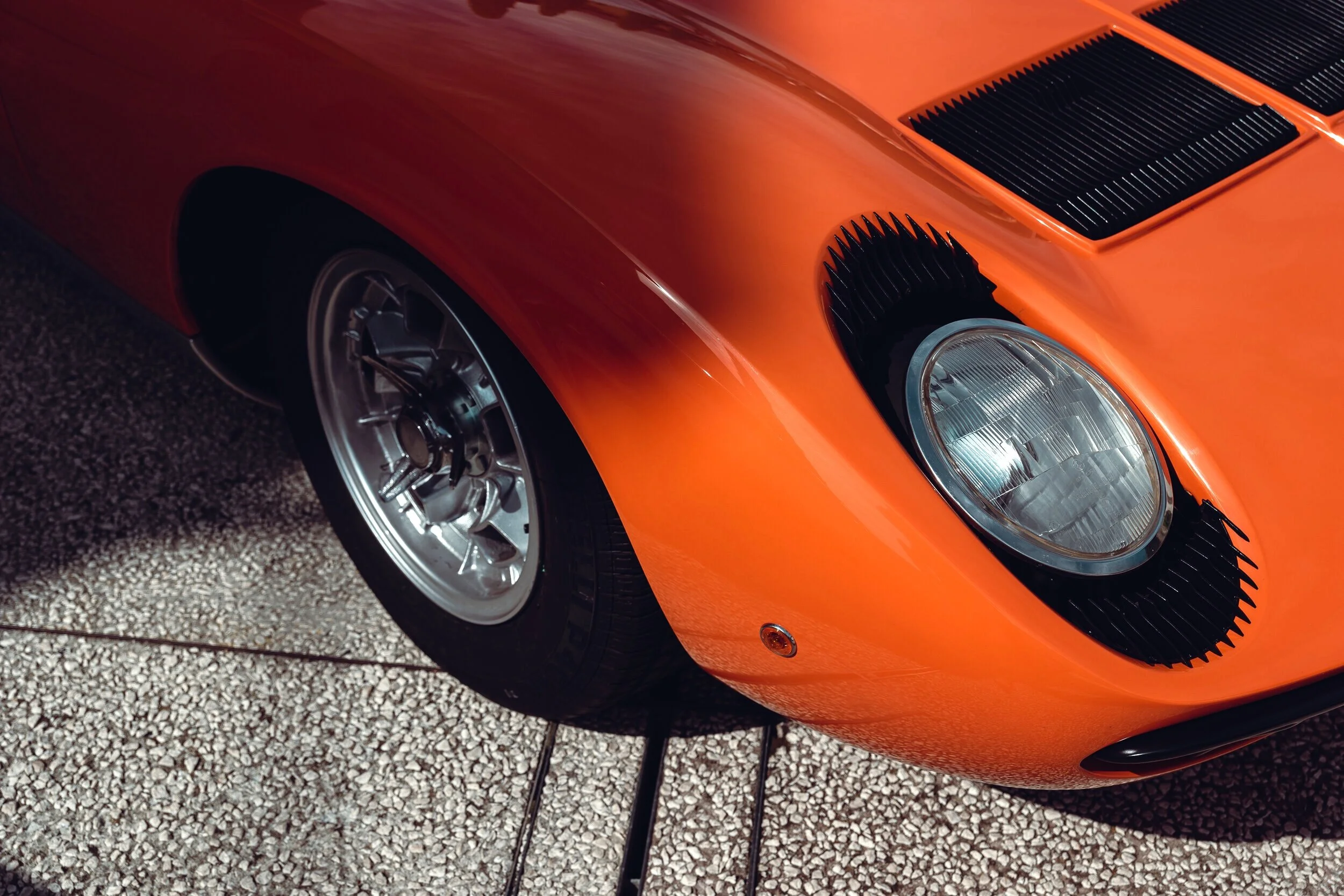 Miura orange popping out of shade.