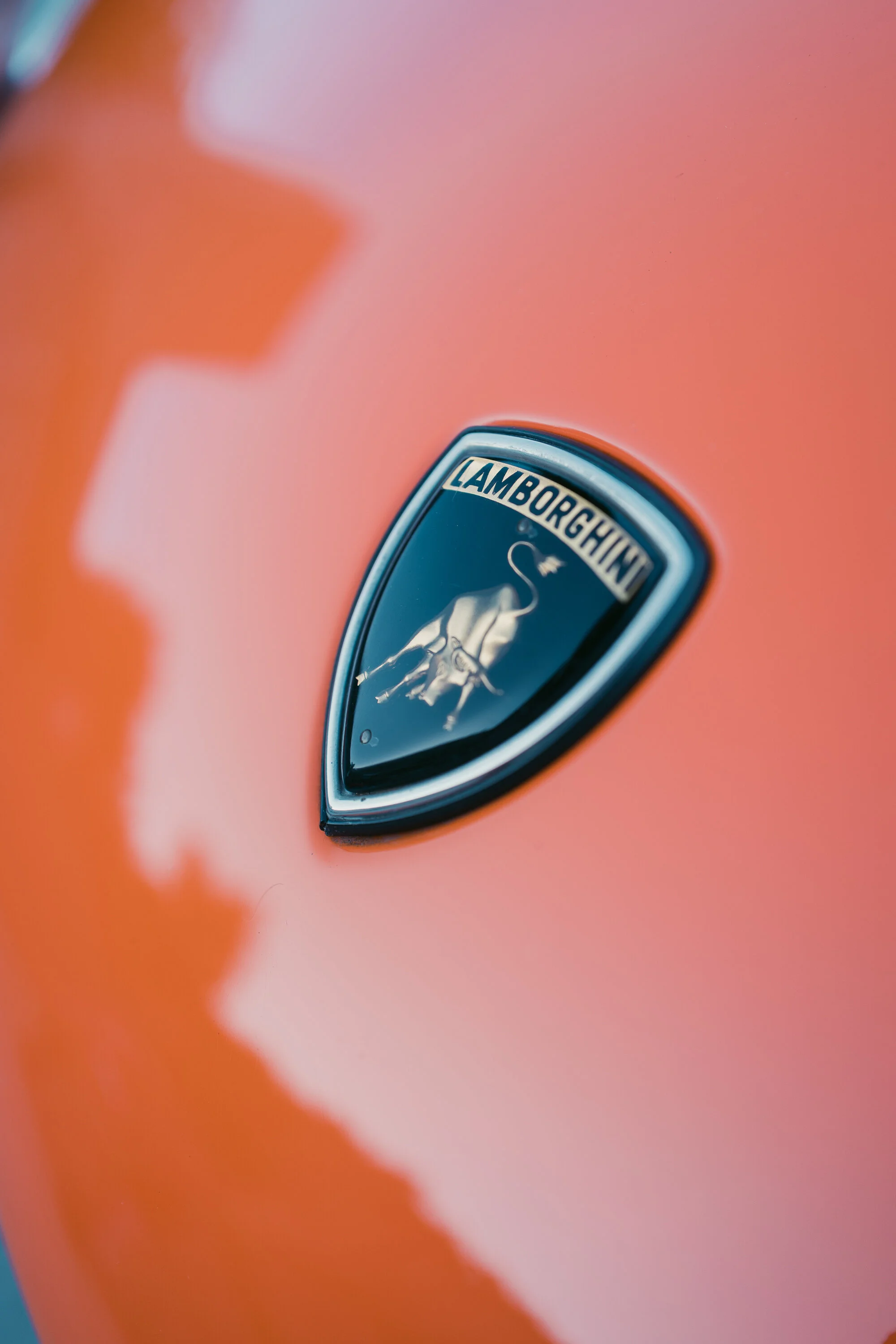 Miura detail.