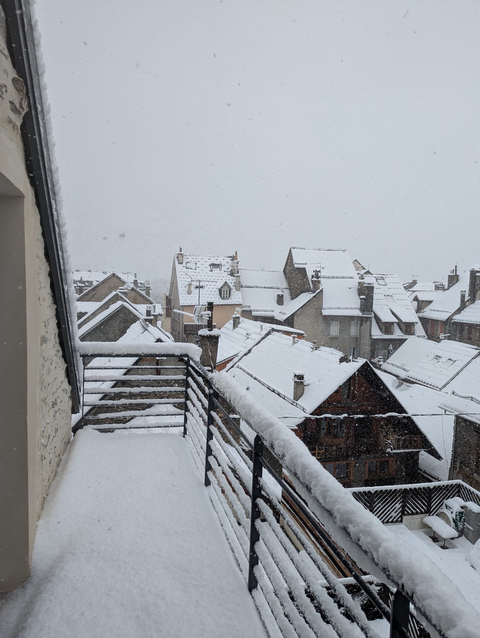 Photo 21-01-2026, 10 03 25.jpg