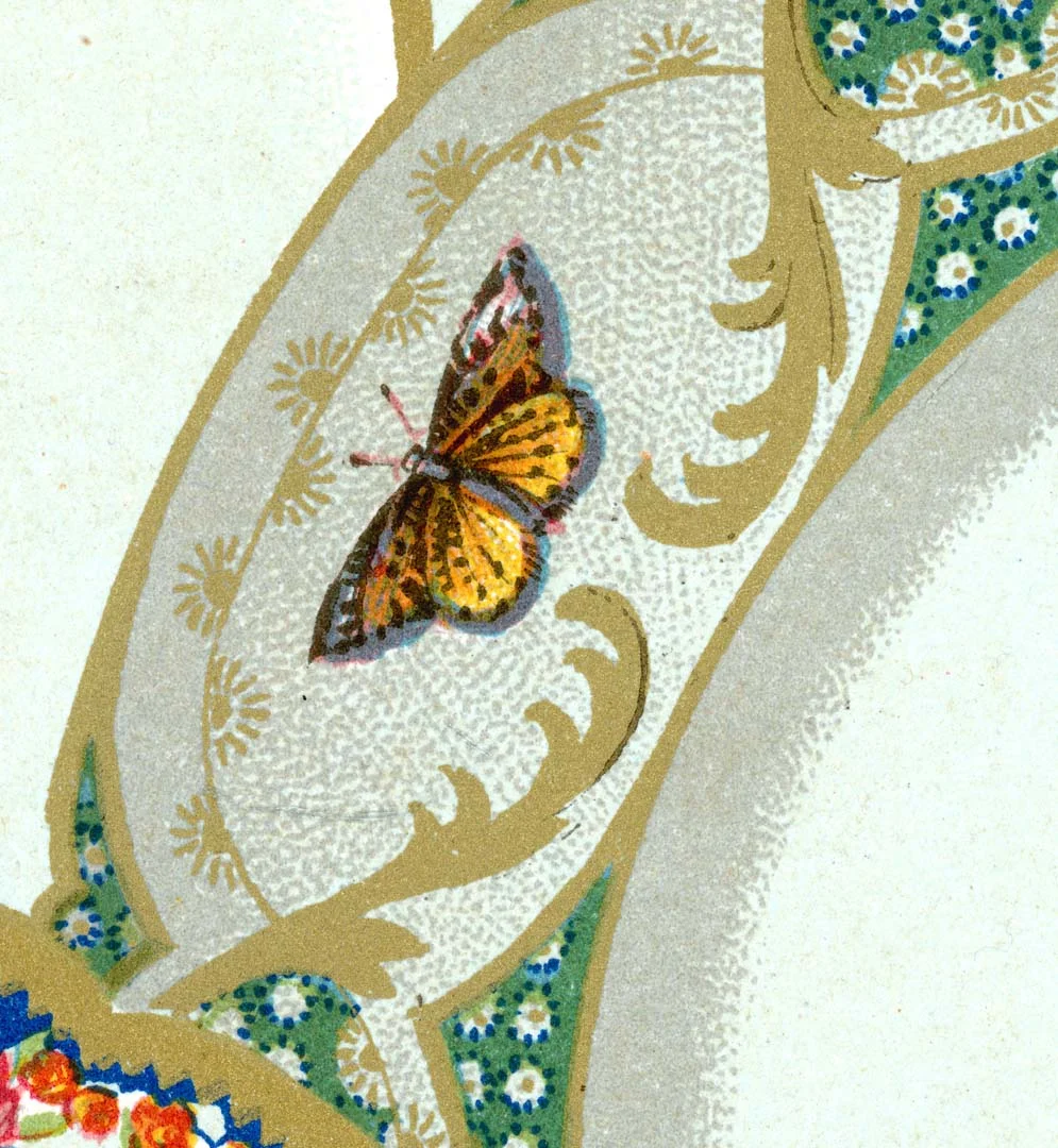 Butterfly Plate
