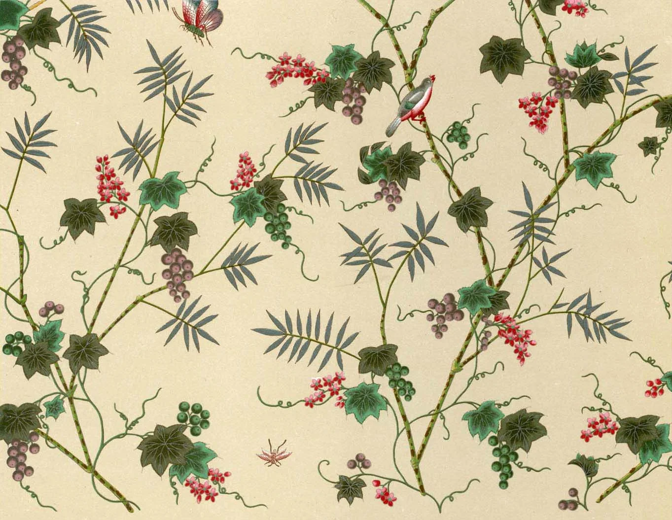 Plant with Vines