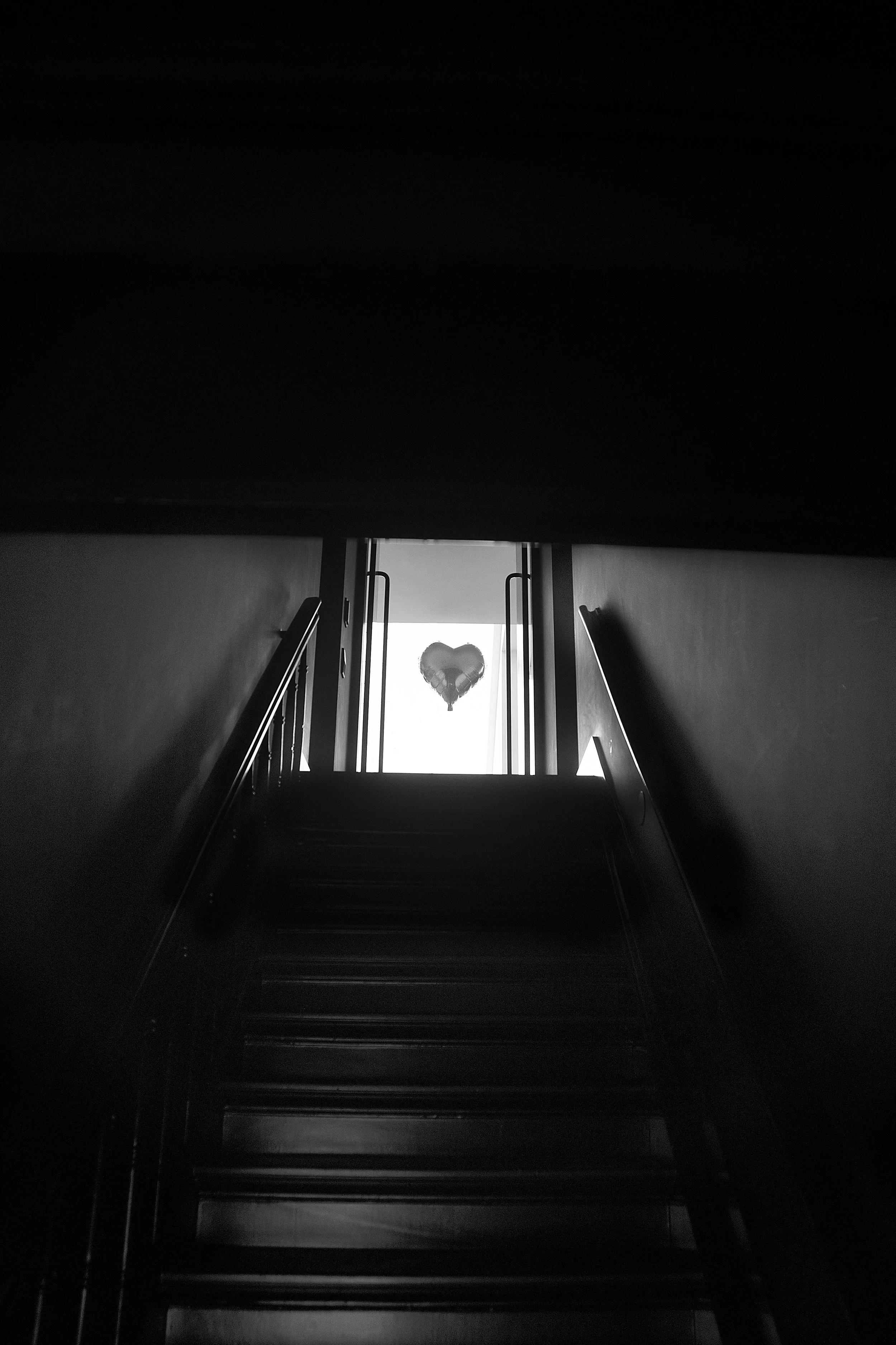 _DSC5386 edit sharp.jpg