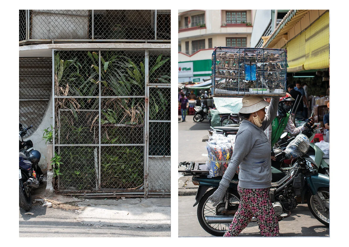 Vietnam set 3.jpg