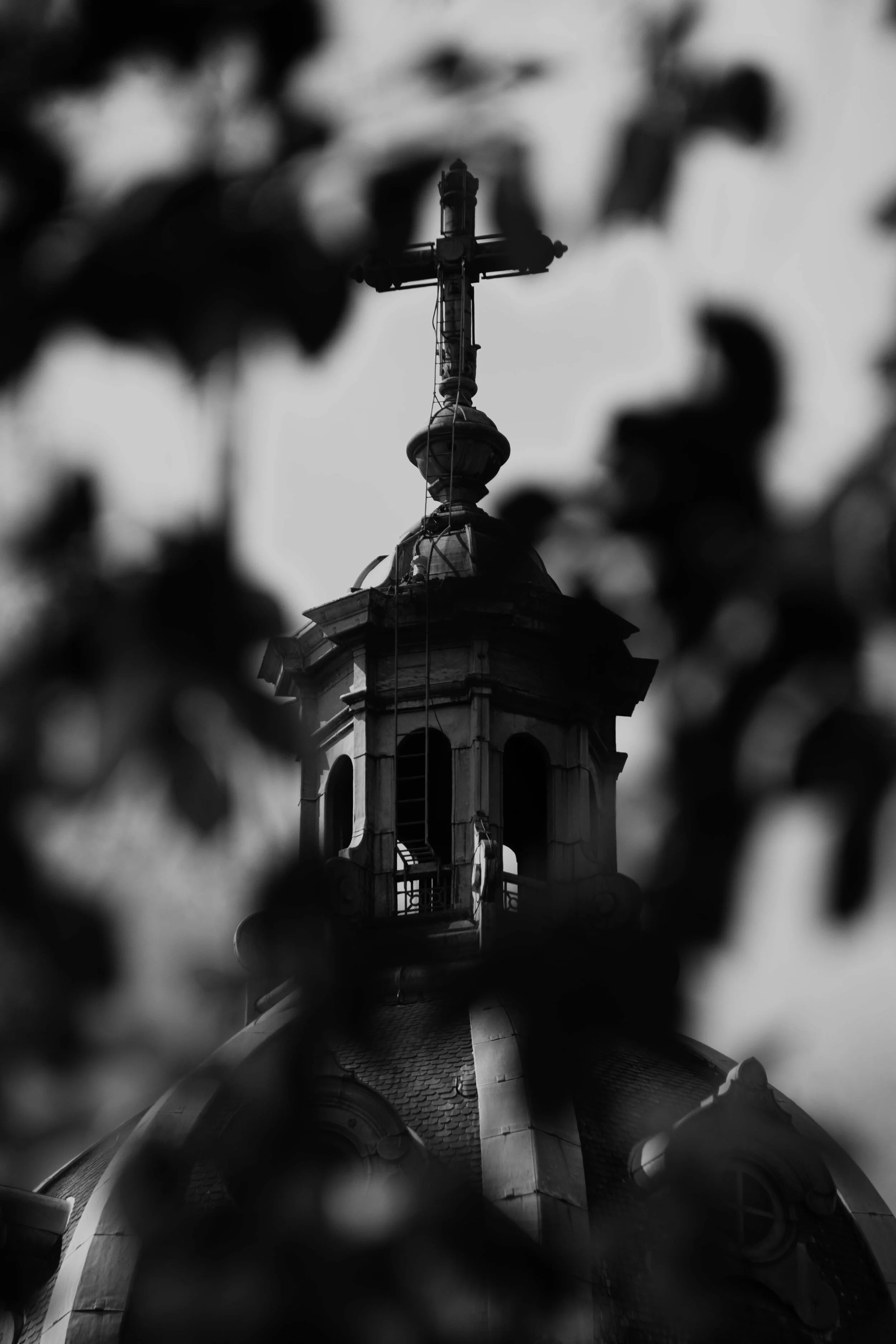 1.HolyMoly small.jpg