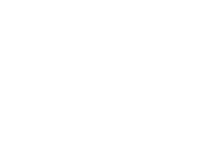 Group 2.png
