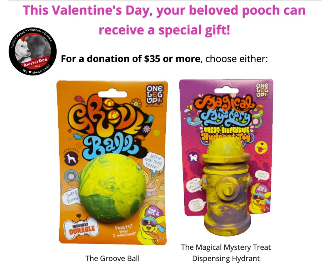 Show the Love" during our Valentine's Day fundraising campaign!