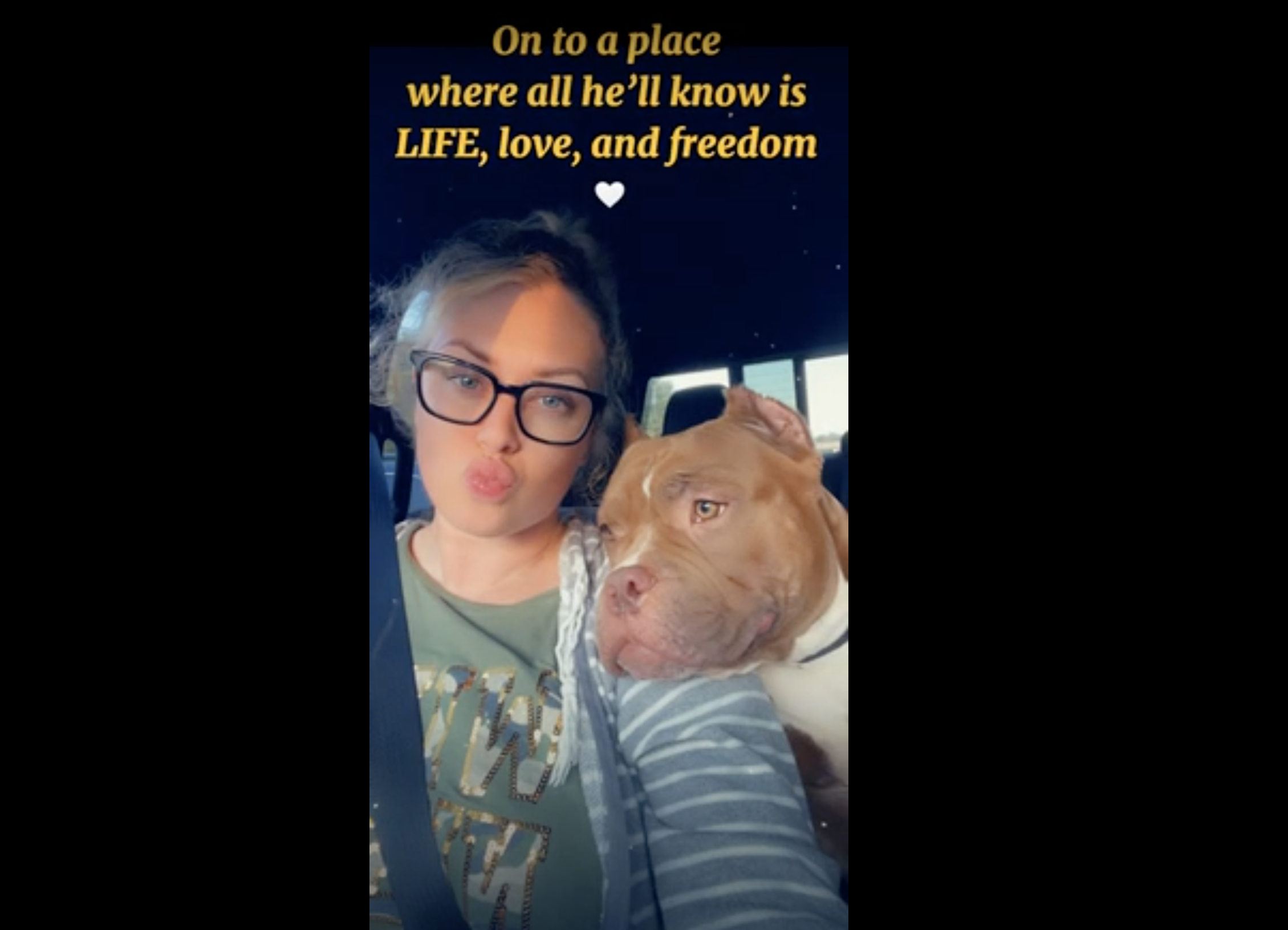 Watch this pup's rescue journey from Manhattan to Michigan!