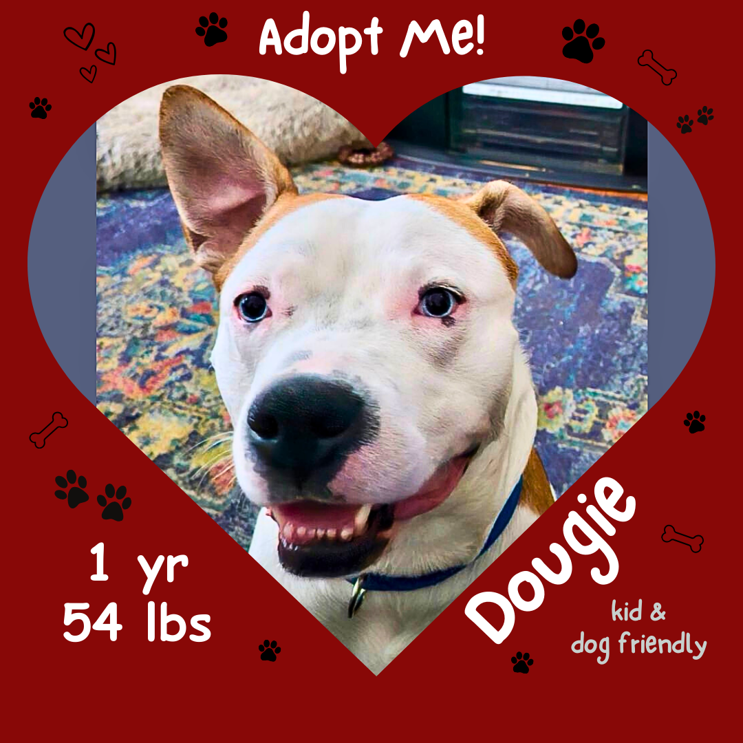 dougie.png