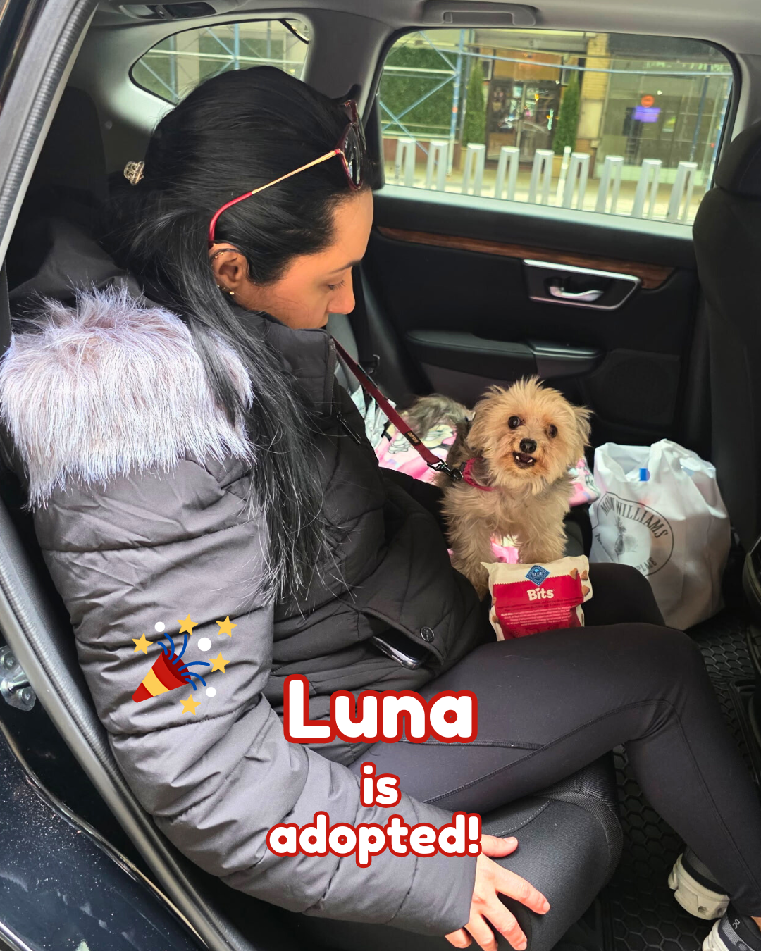 luna adopted.png