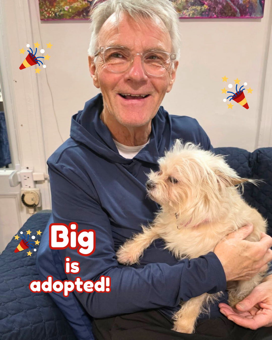 Big Adopted.png