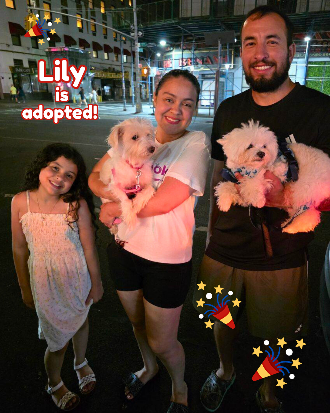 lilyadopted.png