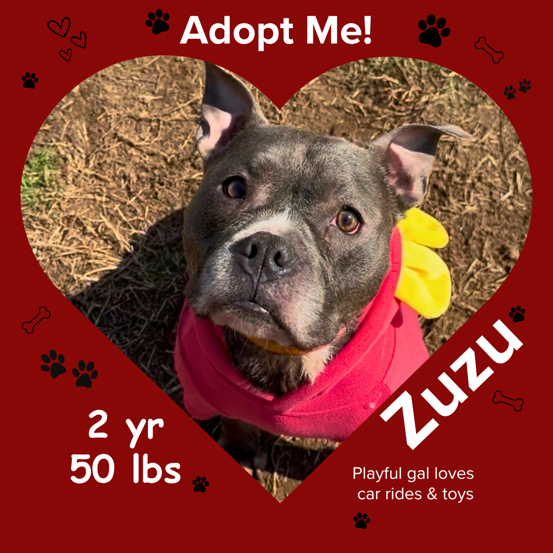 Zuzu.png