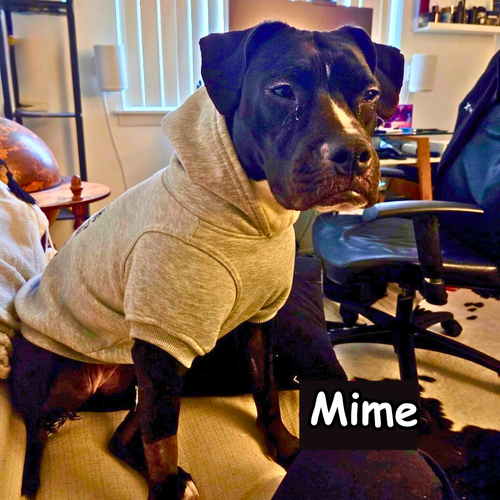 Mime.webp