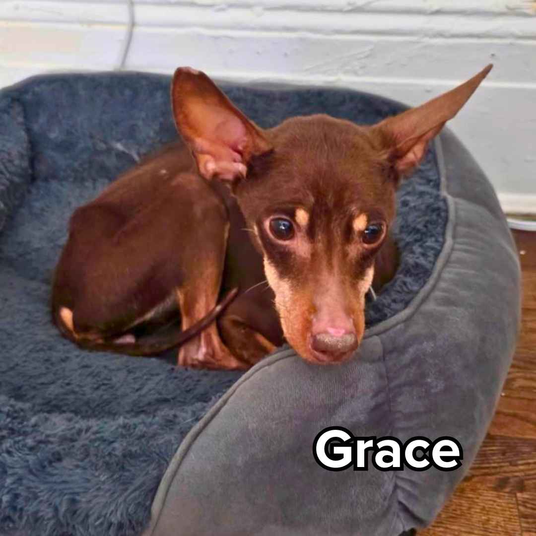 grace (4).png