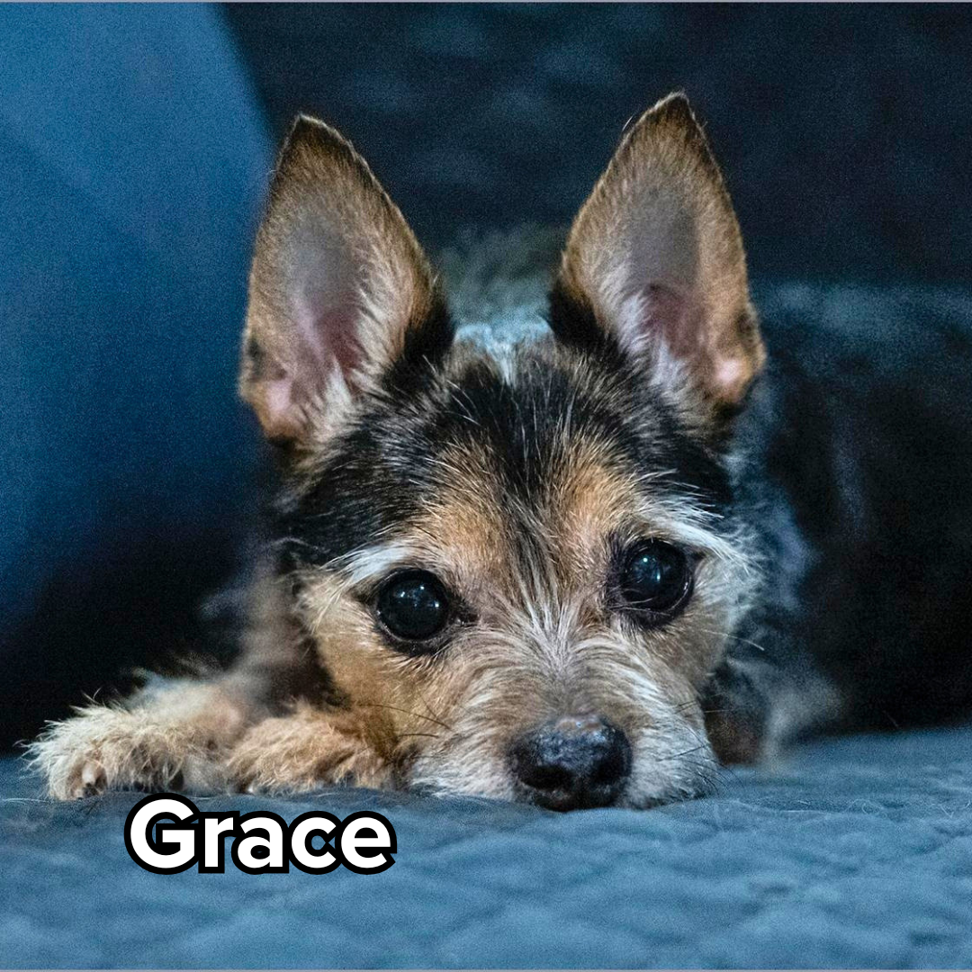 Grace (5).png