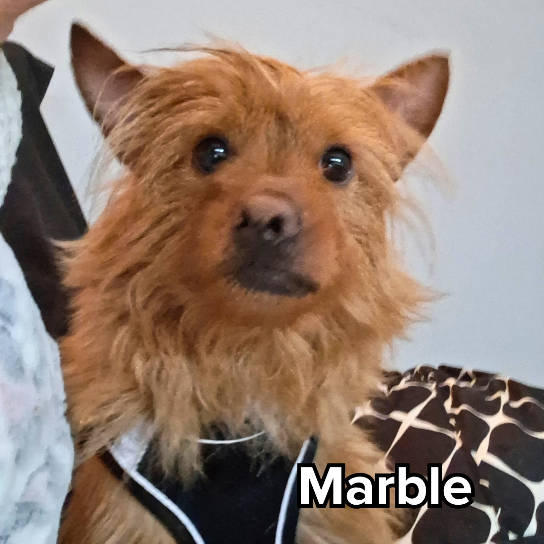 Marble.png