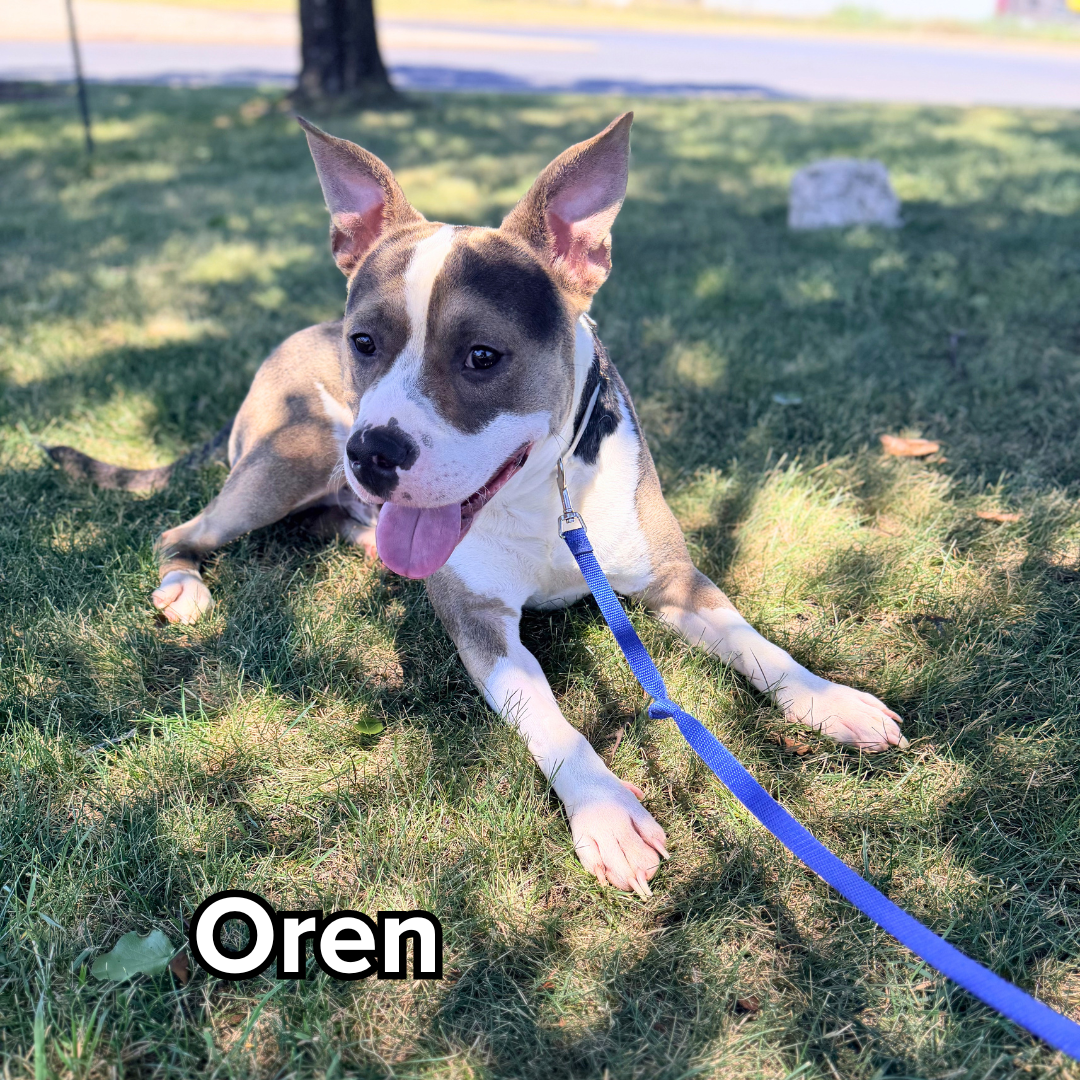 oren.png