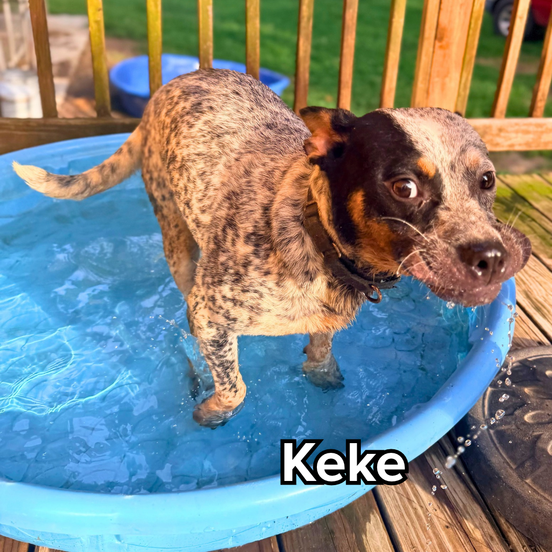 Keke.png