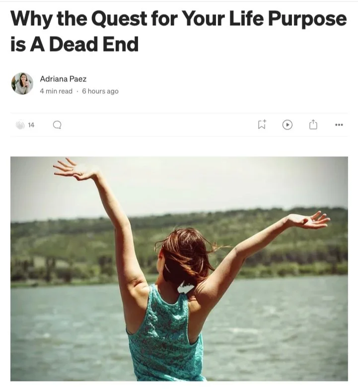 Screen Shot 2024-07-04 at 2.33.42 PM.jpg