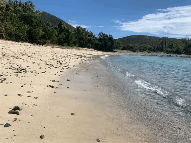 IMG_3616.gif