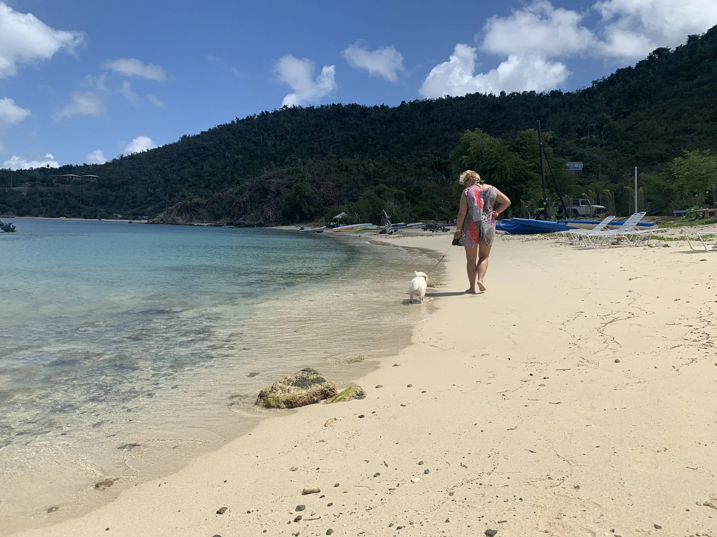 Living on a Rock: 5 years Ahead of the Plan