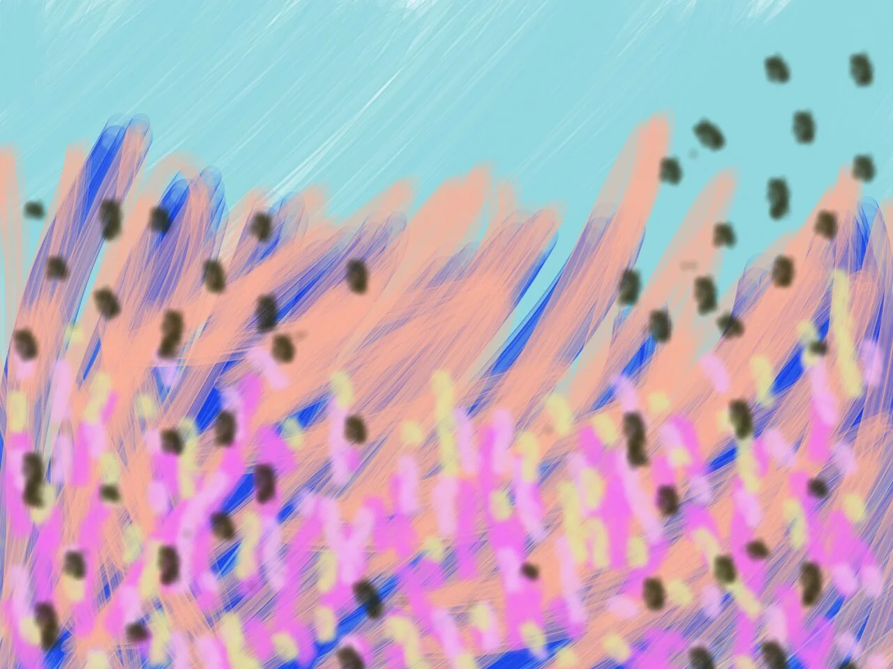 some summer drawings