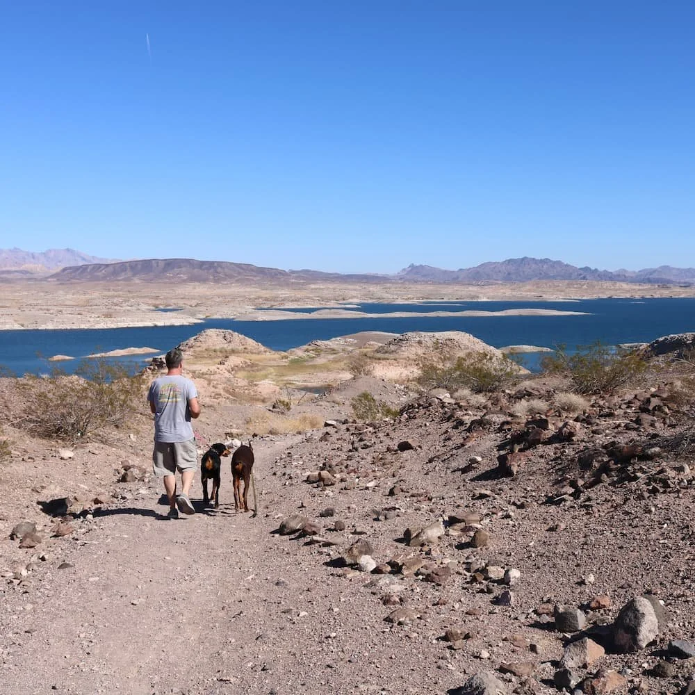 Top Lake Mead RV camping locations and tips