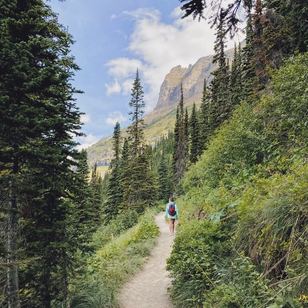 Best Time to Visit Montana for a Memorable Adventure