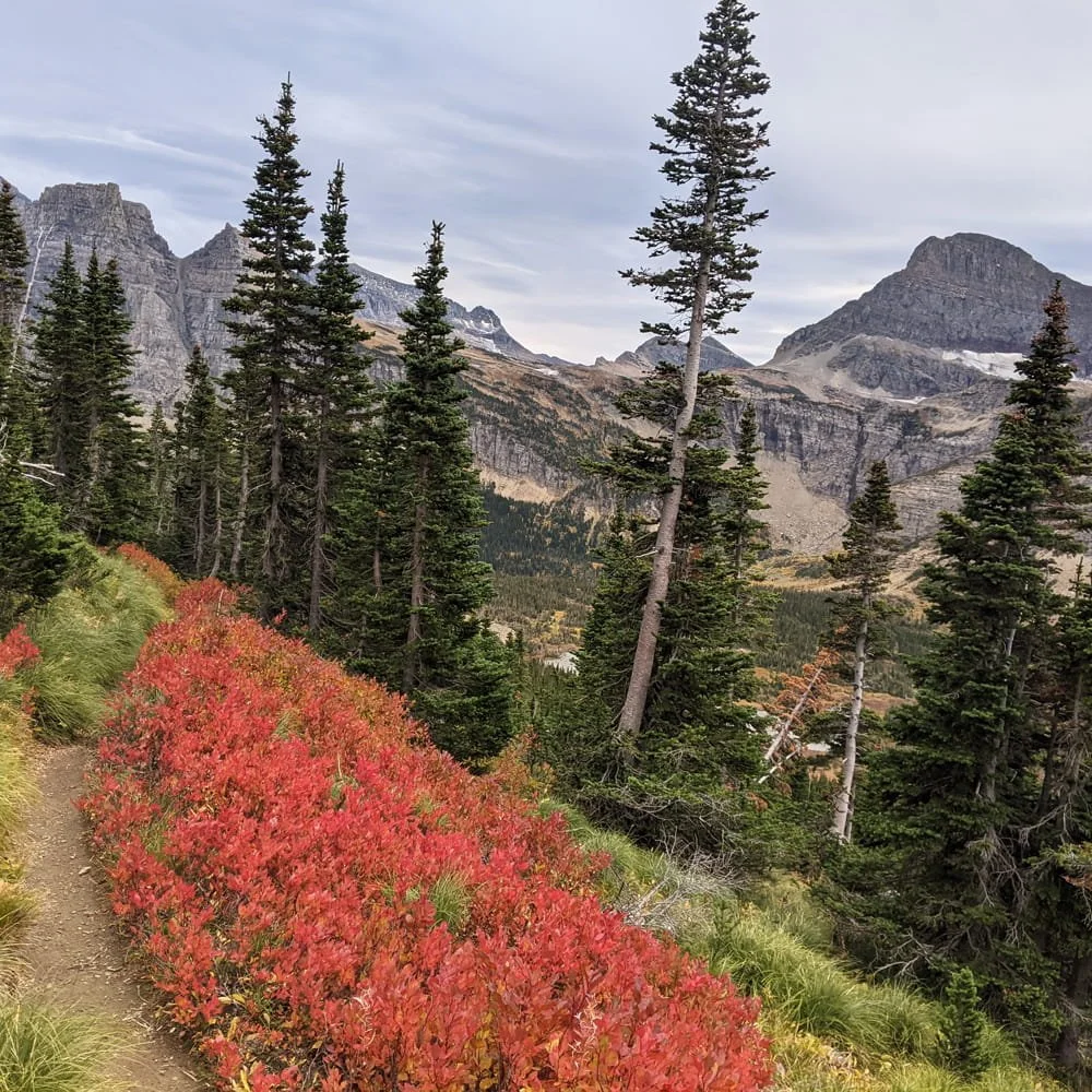 Best Time to Visit Glacier National Park - A Seasonal Guide