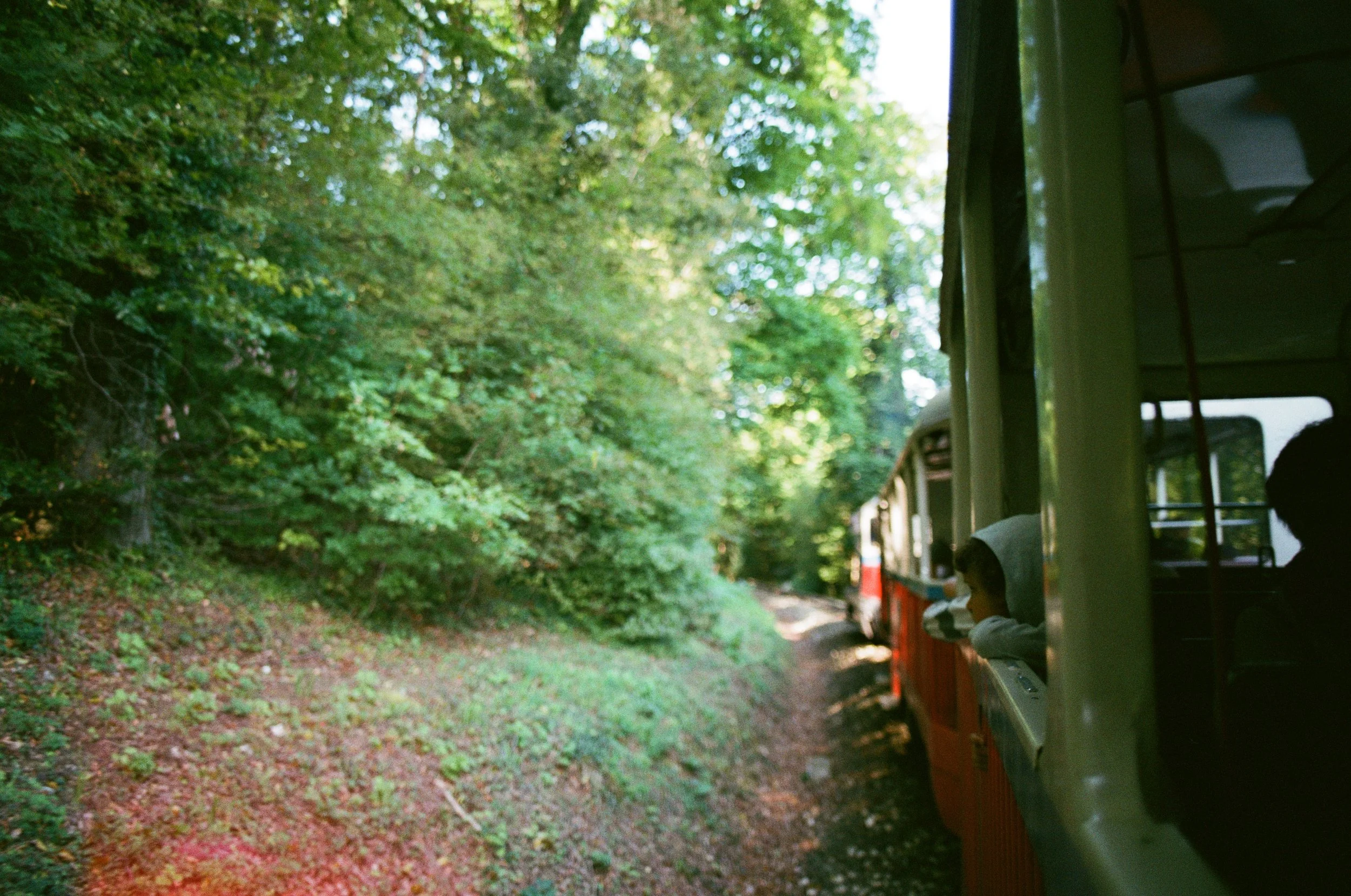 48920034.jpg