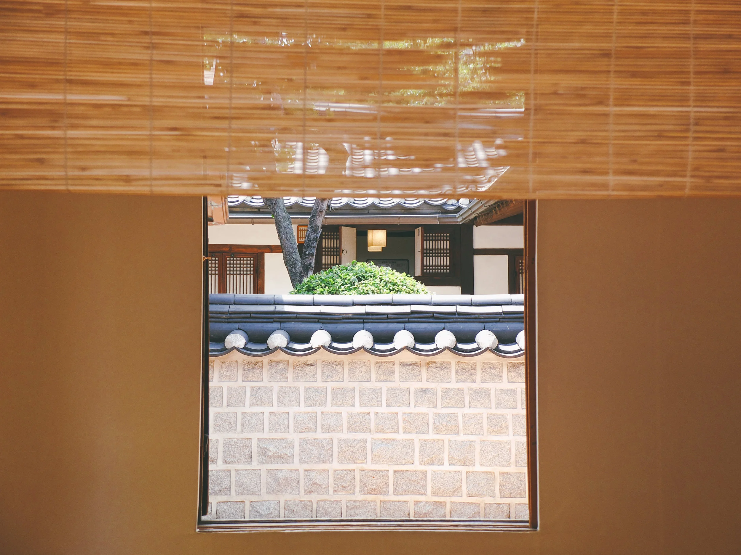 DSCF3498-1.jpg