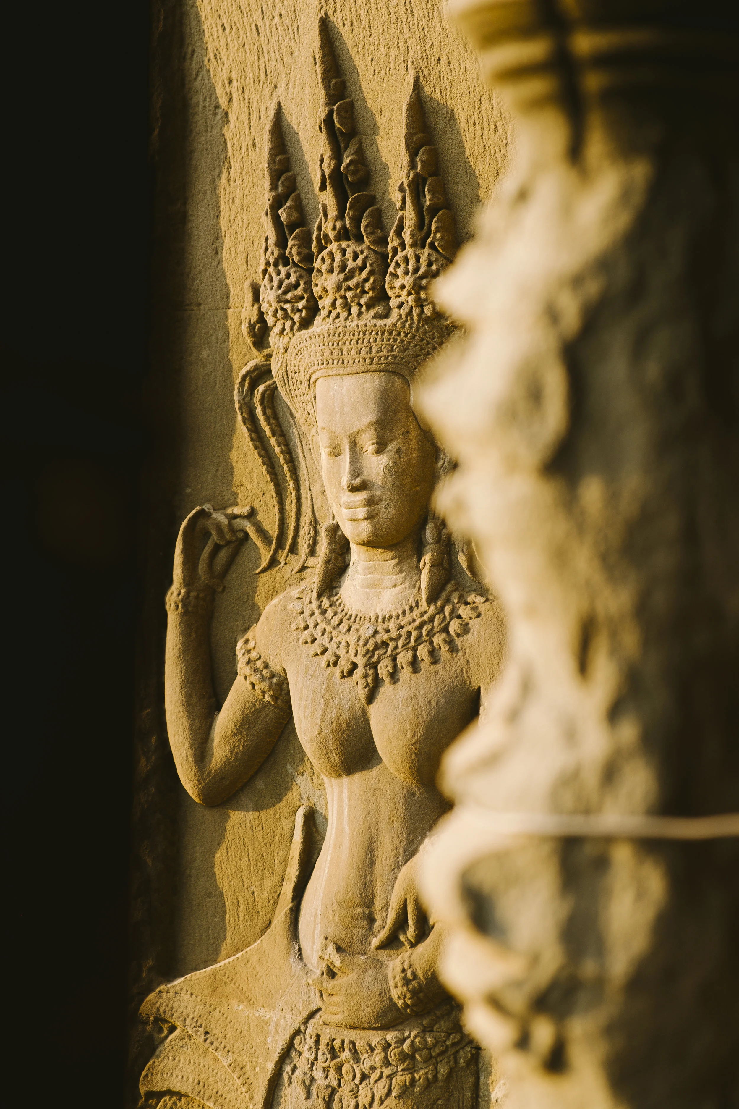XPR11019-1.jpg