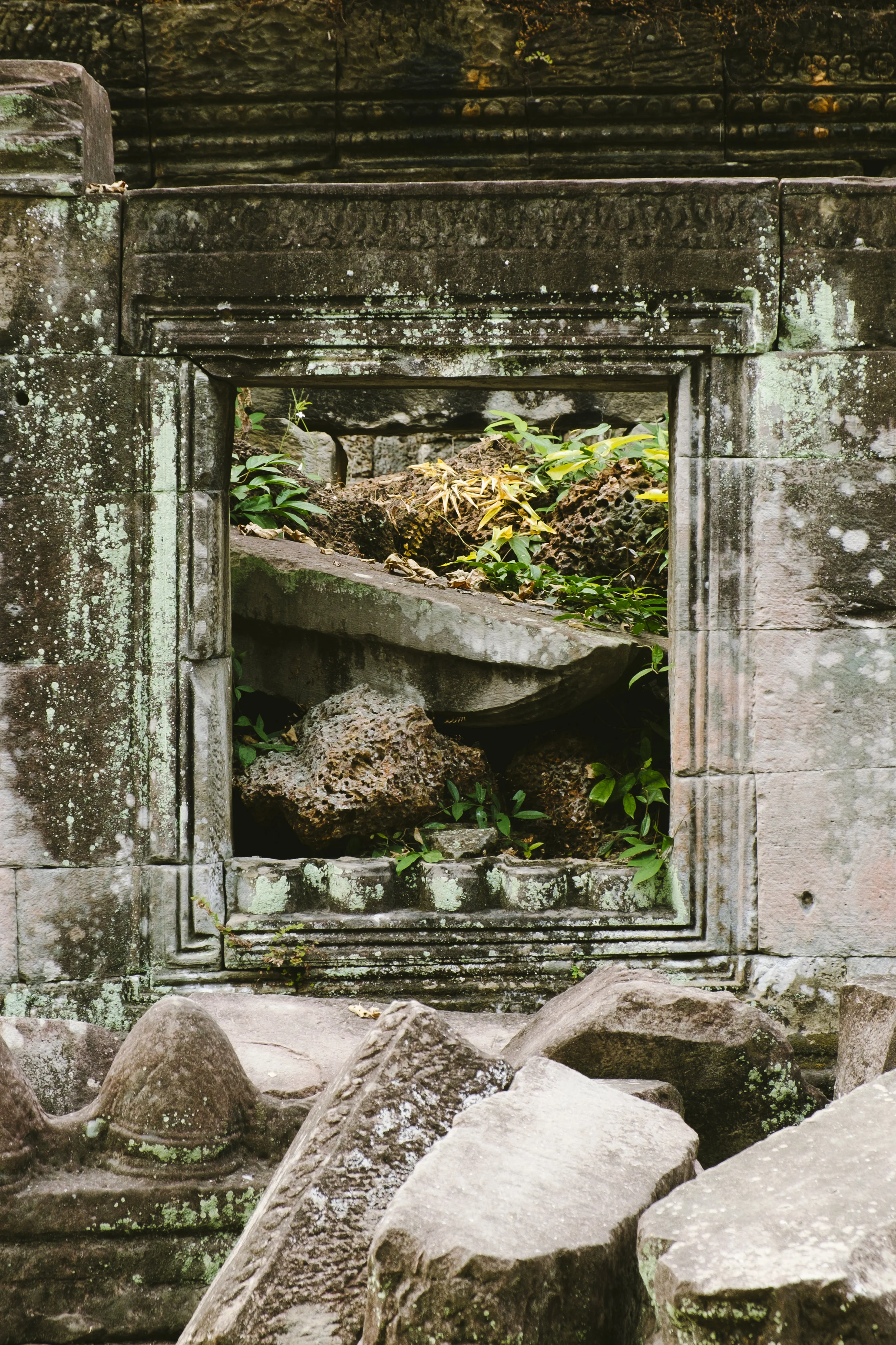 XPR12042-1.jpg