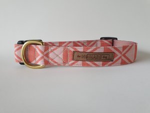 PEREGRINE' Canvas Fabric Dog Collar — The Nomads Dog