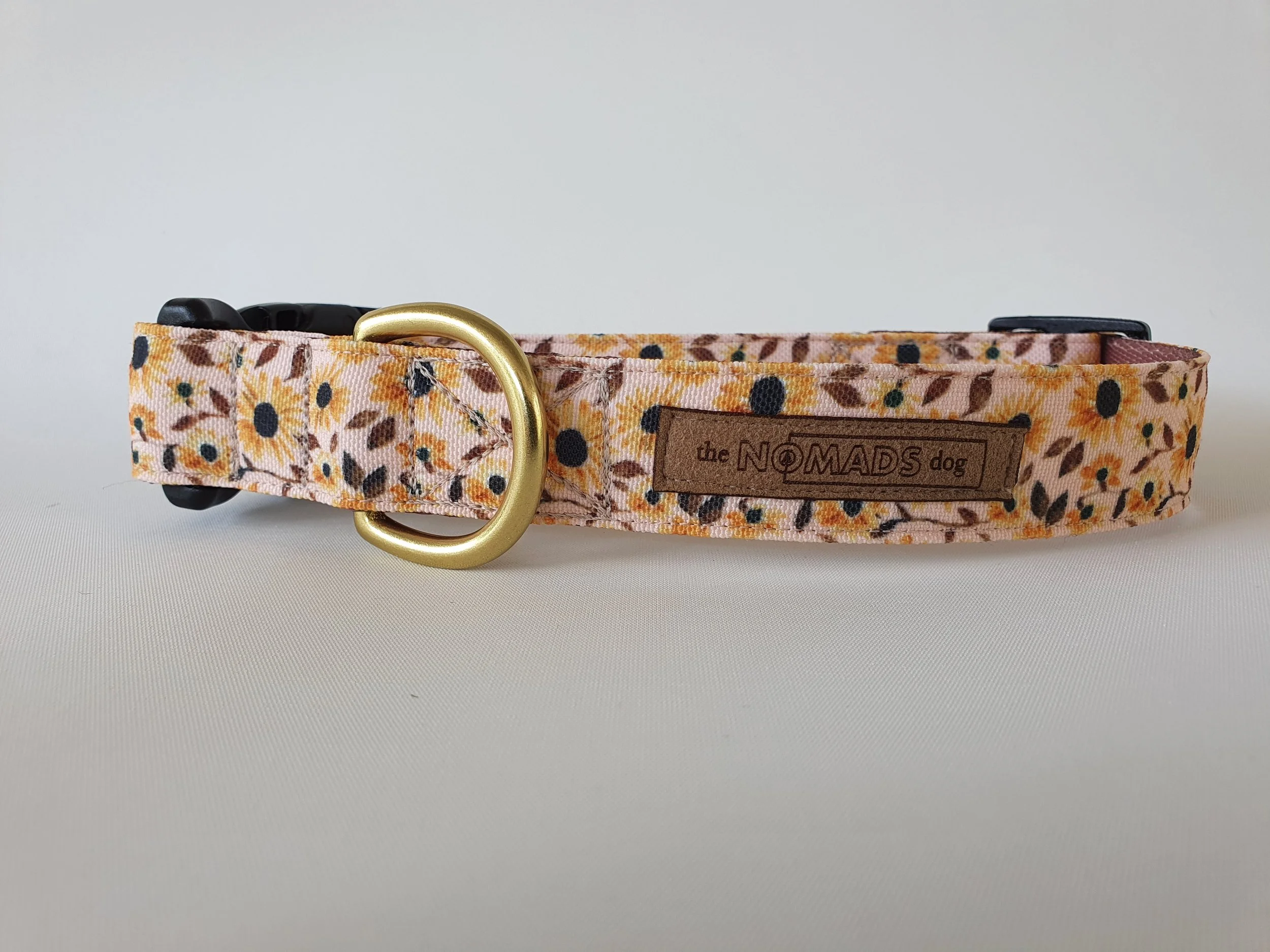 brighton dog collar