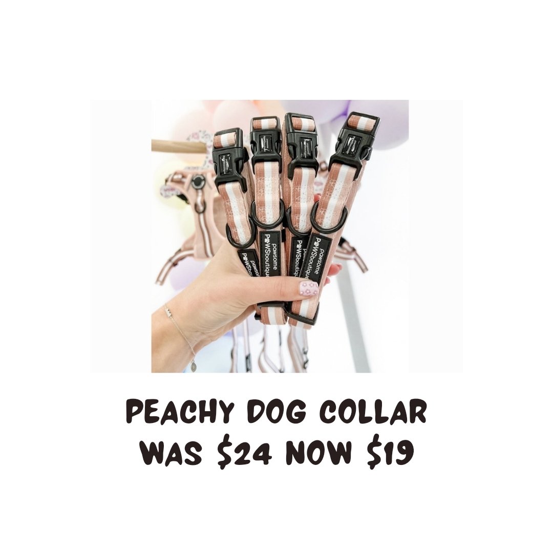 Peachy Nude Dog Collar