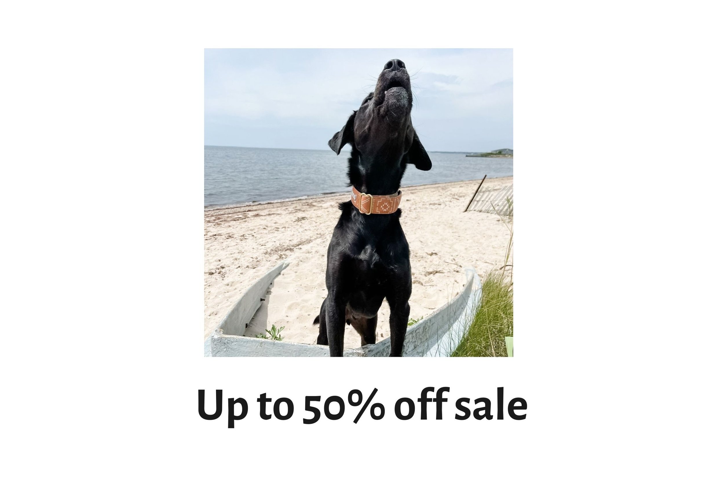 Up to 50% off Sale