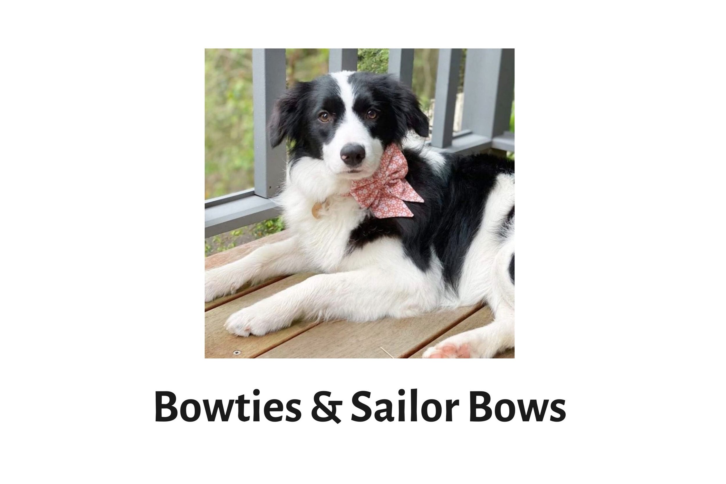 Handmade Dog Bowties and Sailor Bows